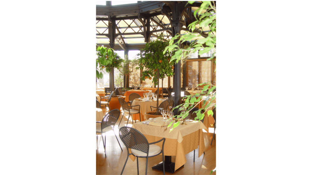 20 29 decoracion bares